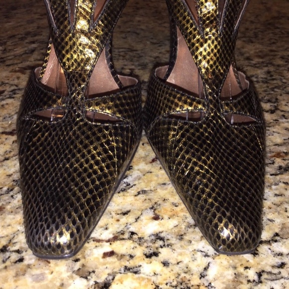 stacy adams shoes snakeskin
